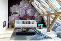 High-resolution image of peony blossoms.

