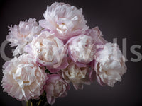 Wall decor with a captivating and serene ambiance.

