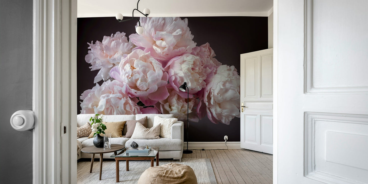 Soft shades of pale pink and creamy white petals.

