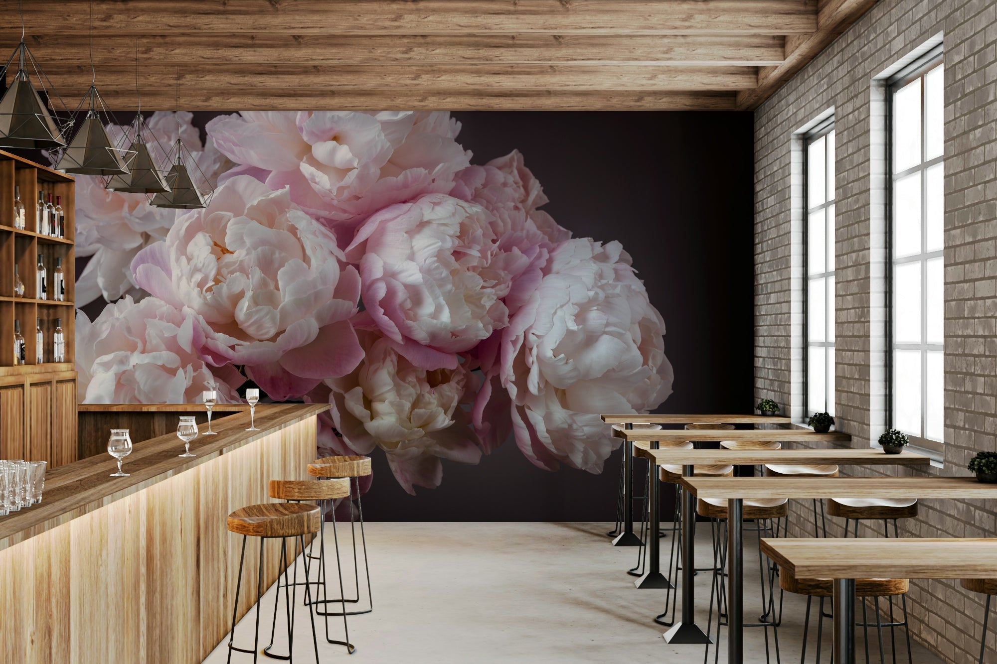 Close-up of a bunch of large peony flowers. GD2991

