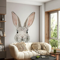 Adorable rabbit face front view GD296