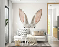 Bunny stare animal wall artwork GD296

