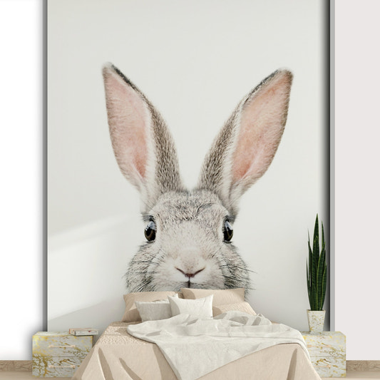 Cute bunny close-up on white bg

