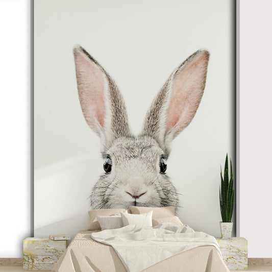 Cute bunny close-up on white bg

