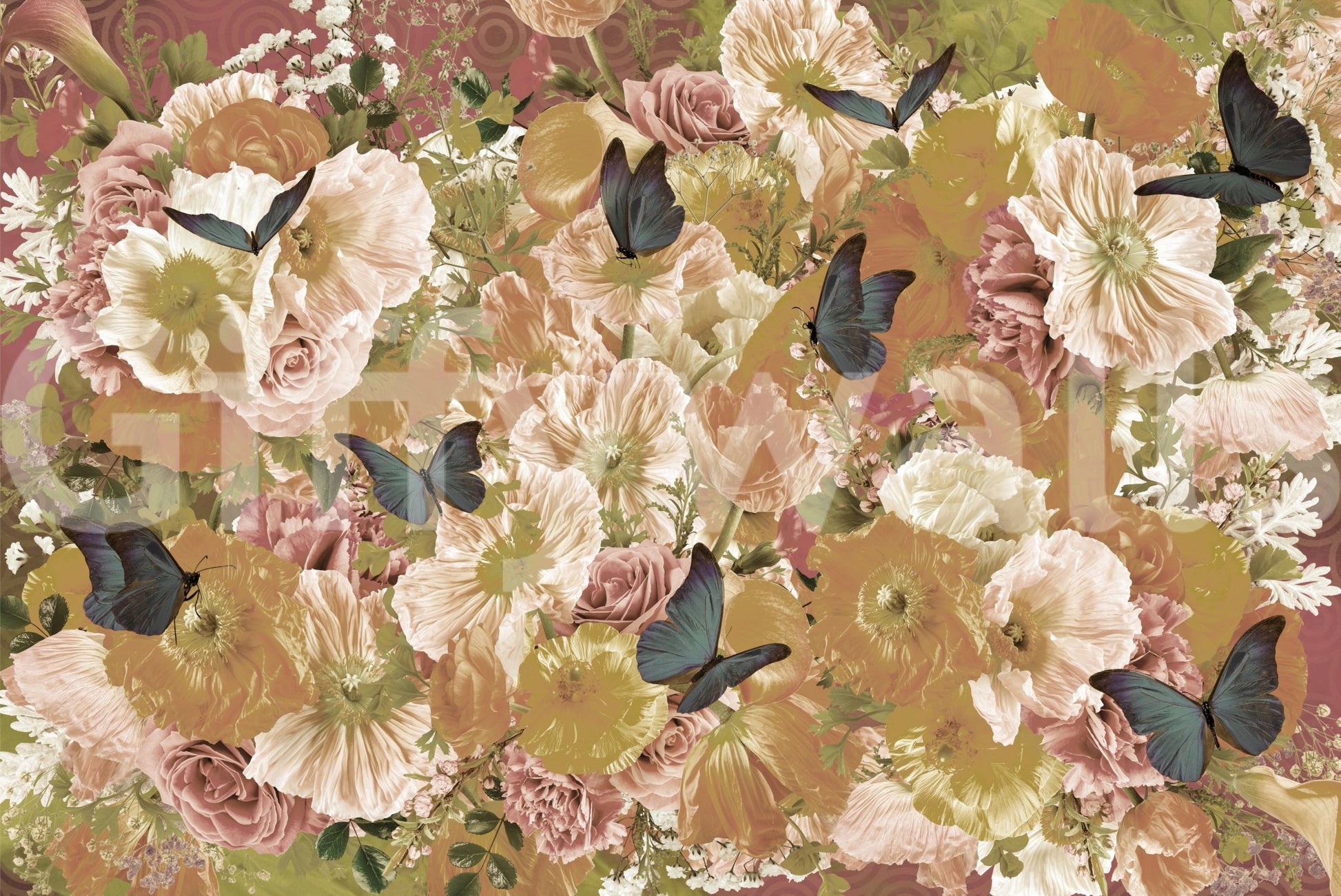 A high-quality serene flower wall mural for walls., GD5689