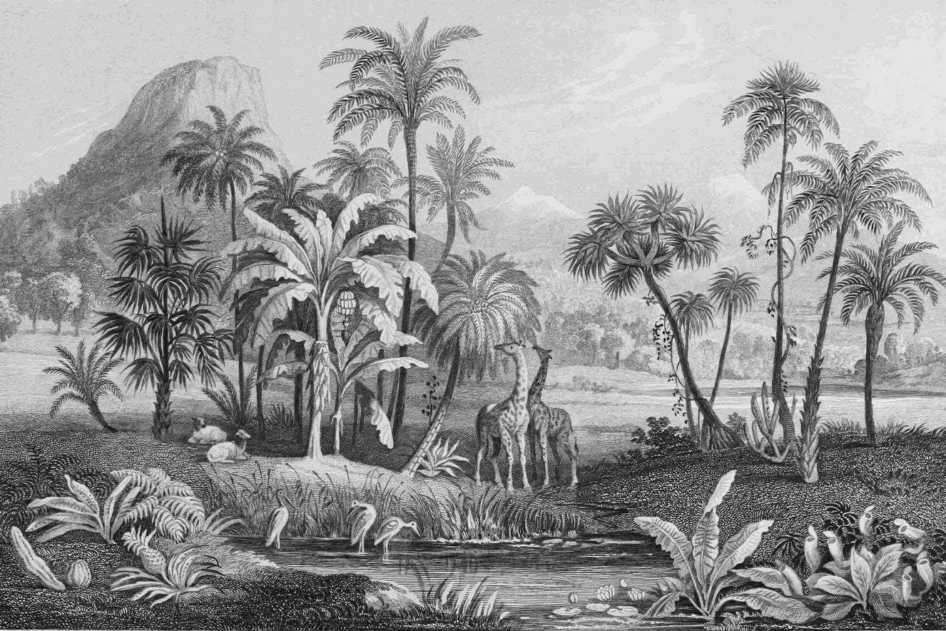 Monochrome Vintage Jungle Mural