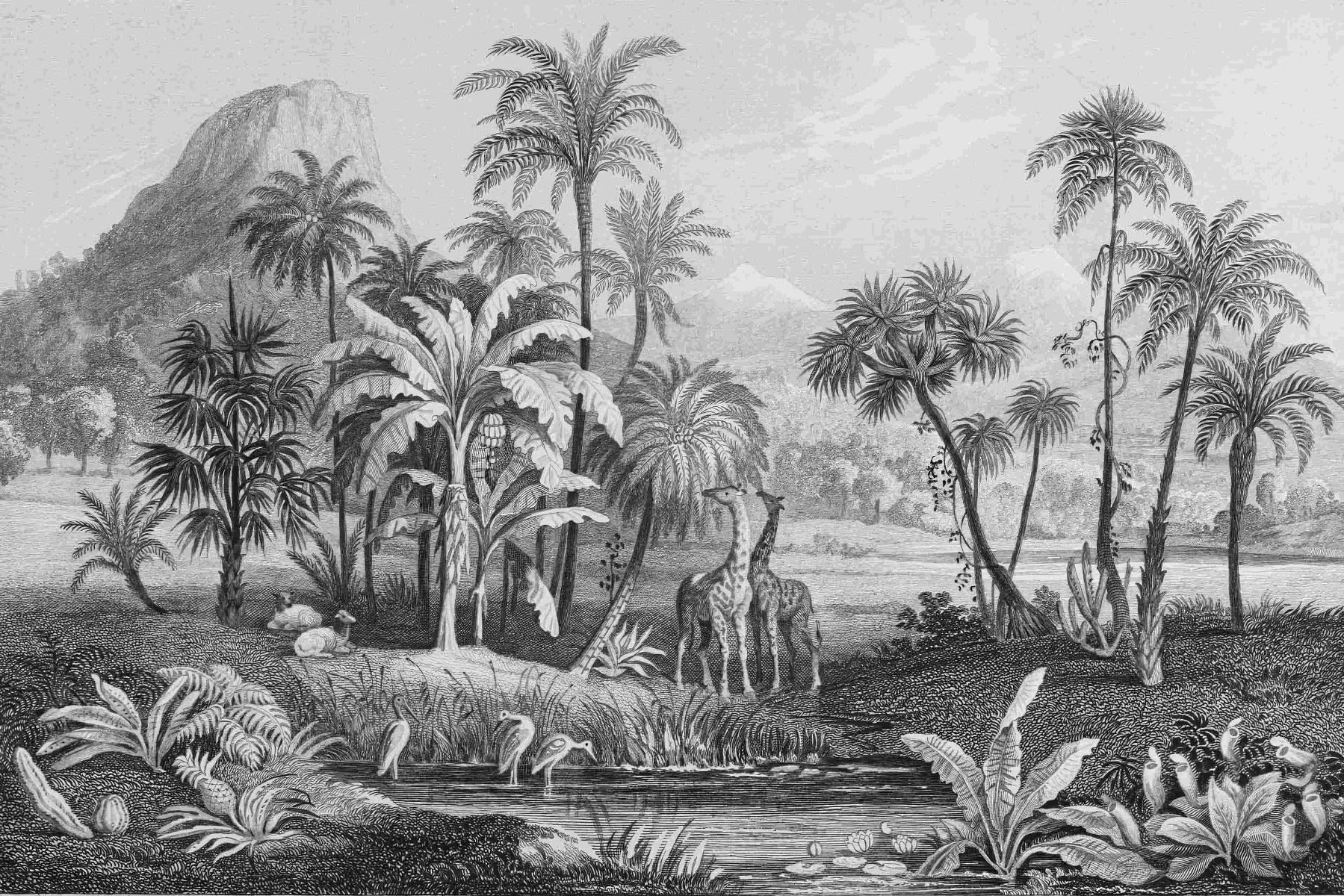 Monochrome Vintage Jungle Mural