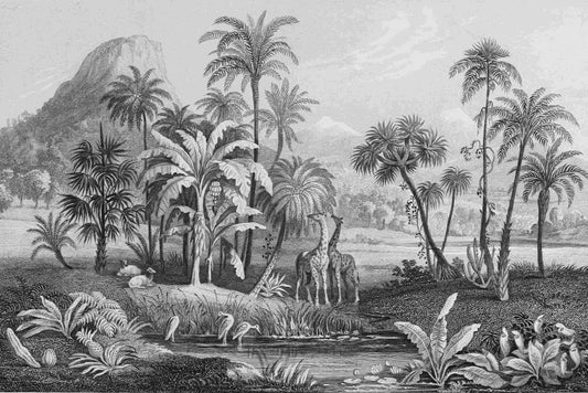 Monochrome Vintage Jungle Mural