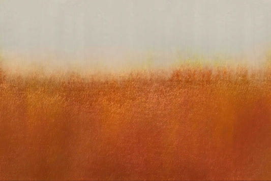 Rustic Orange Wallpaper Mural
