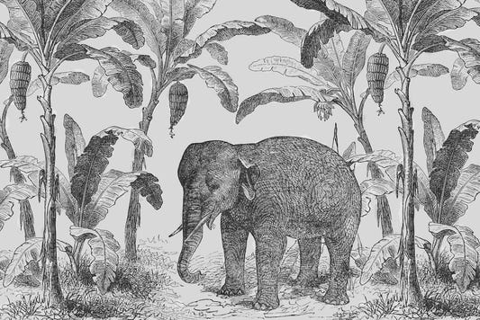 Vintage Elephant Wallpaper Mural