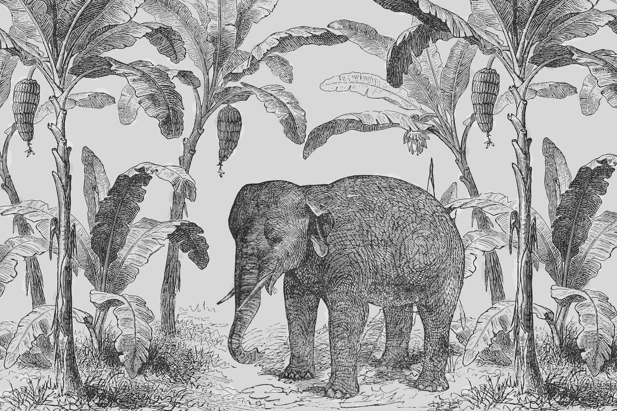Vintage Elephant Wallpaper Mural