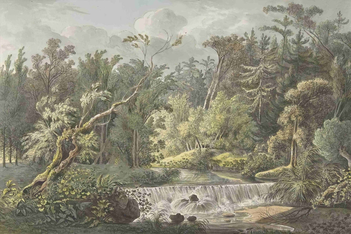 Vintage Forest Waterfall Mural in your room — zoomed