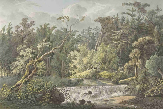 Vintage Forest Waterfall Mural