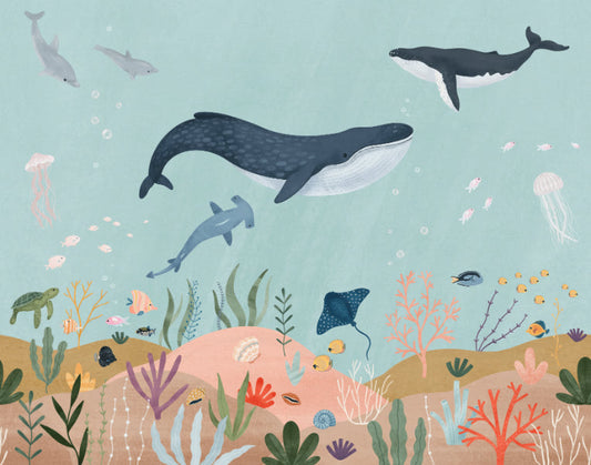 Oceanic Adventure Wall Mural