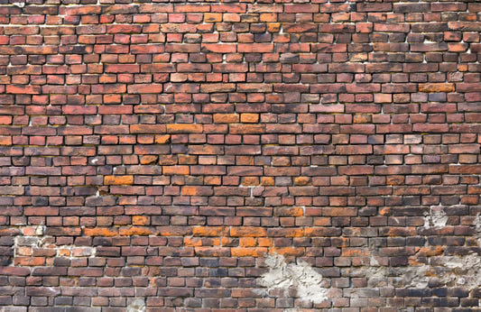 Rustic Charm Brick Mural