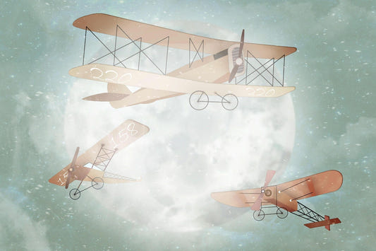 Cute Animals Aviators Wall Mural