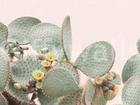 Serene cactus blossom mural perfect for modern interiors

