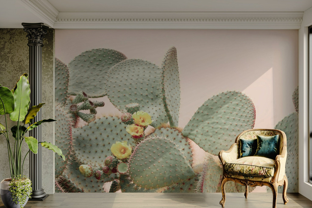 Cactus blossom dreams wall mural with floral desert vibe


