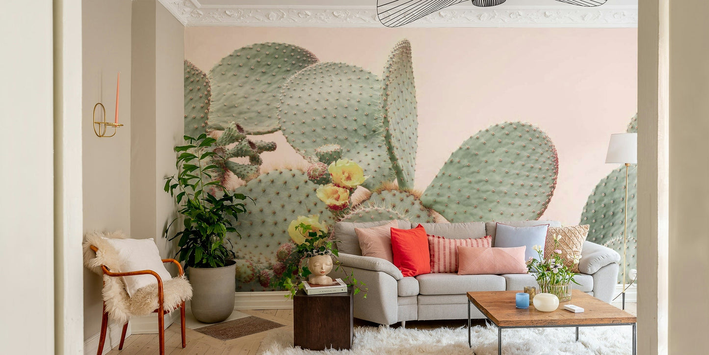 Dreamy wall mural featuring cactus flowers in bloom

