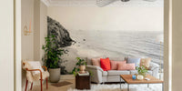 Serene California coast mural with black and white tones.


