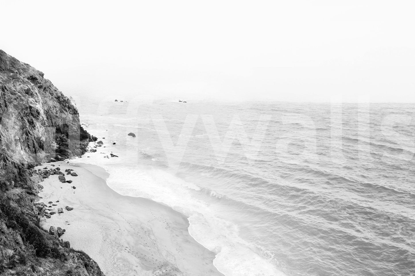 California beach waves captured in black and white mural.

