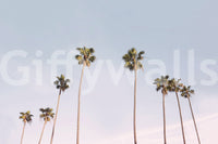 Coastal California landscape mural for modern interiors.

