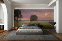 A calming serene field wallpaper mural that defines a space., GD5134