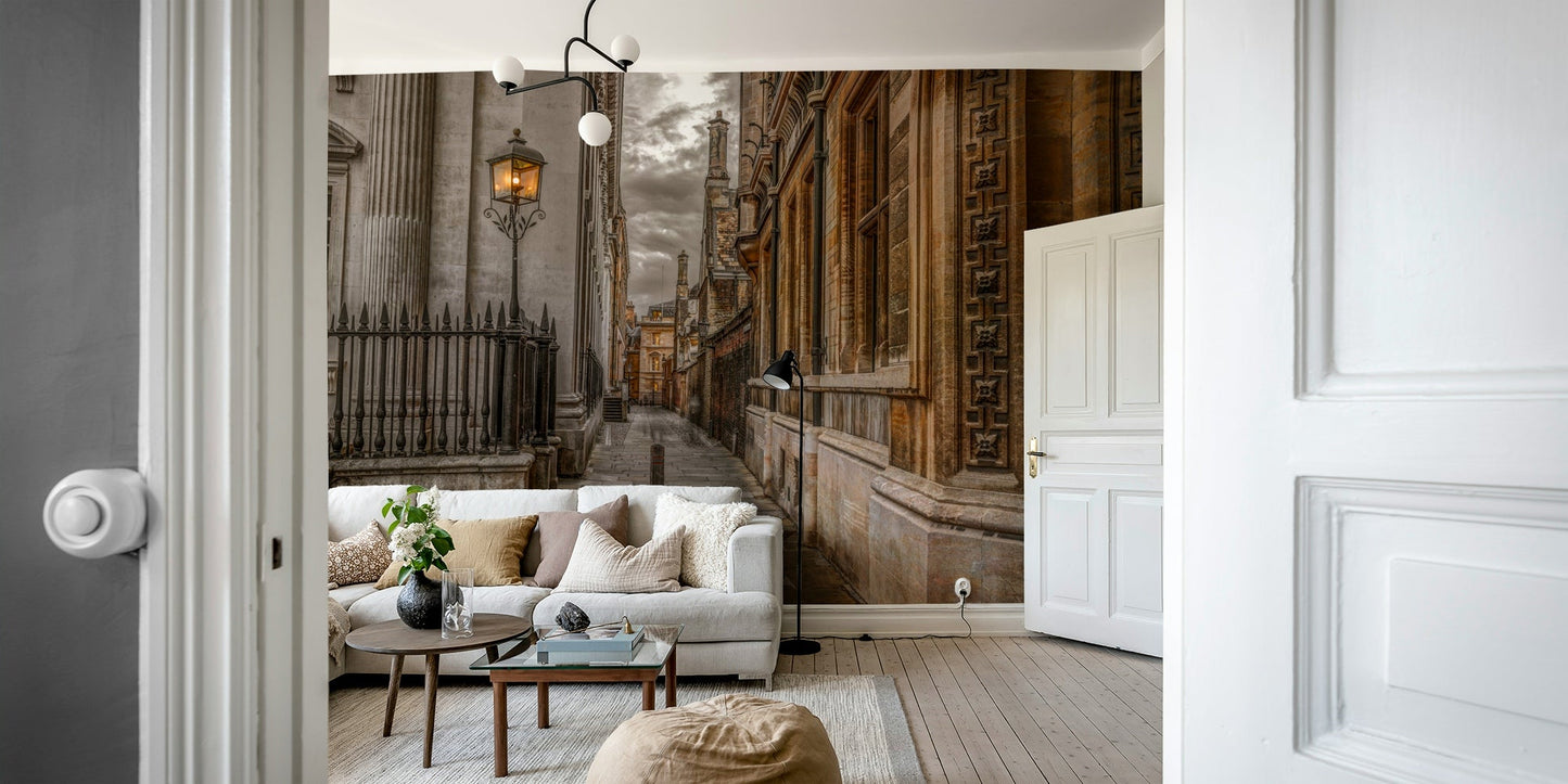 High-quality Cambridge Lane wall mural for any room.

