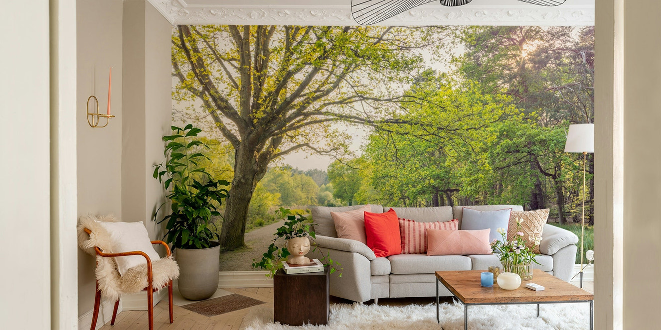 Serene canal scene in spring.

