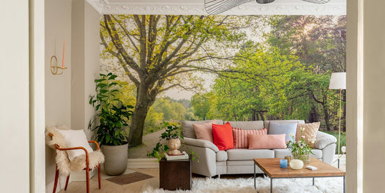 Serene canal scene in spring. GD2990


