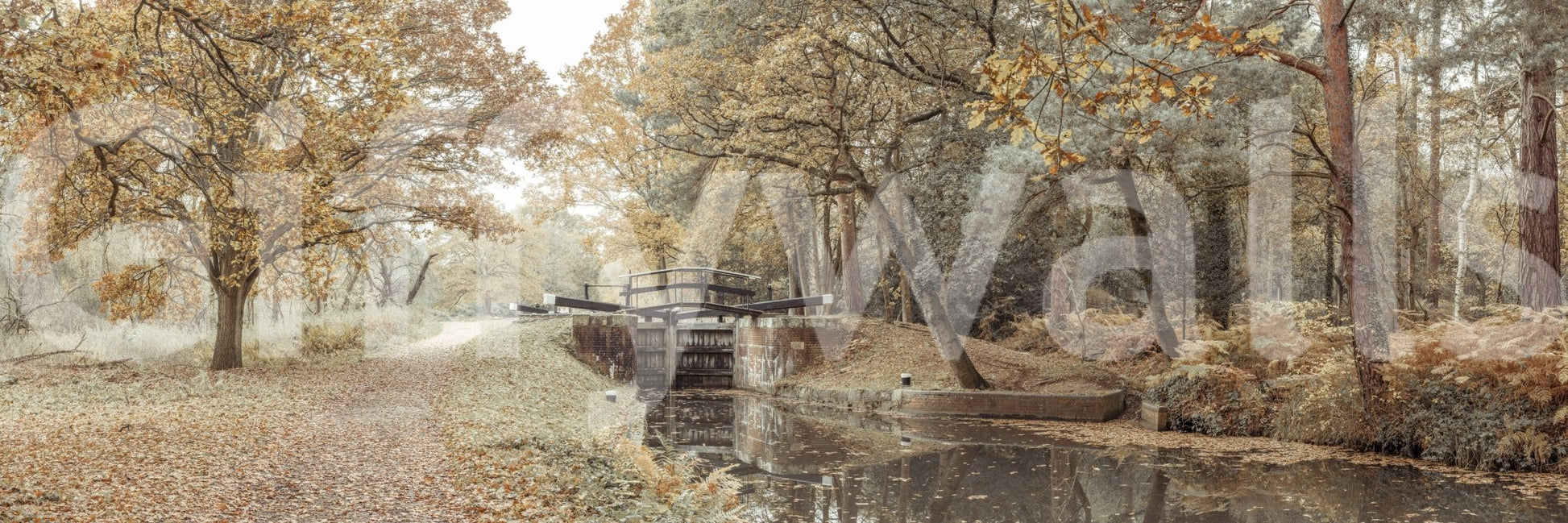 Nature inspired wall mural with a peaceful canal for a serene home.