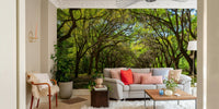 Tall oak tree wall mural
