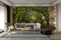 Tree wallpaper for peaceful rooms
