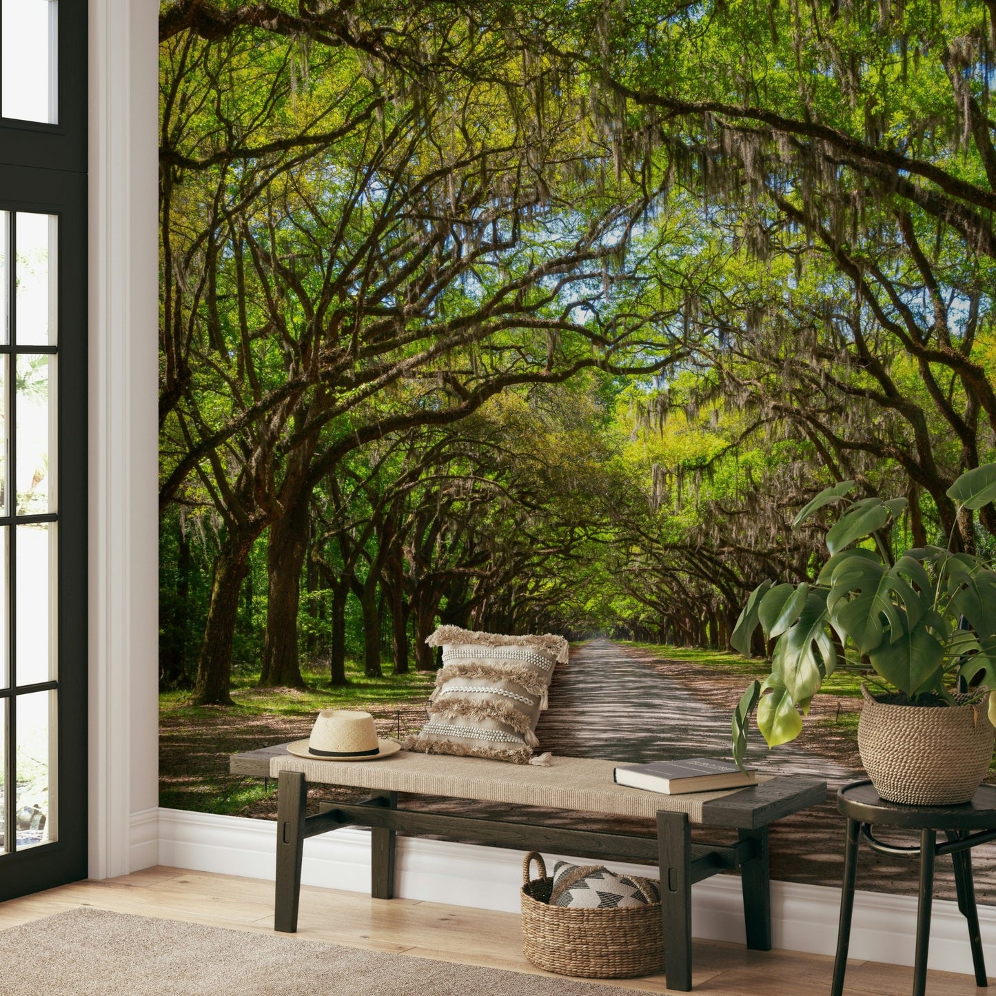 Wall mural with hanging Spanish moss
