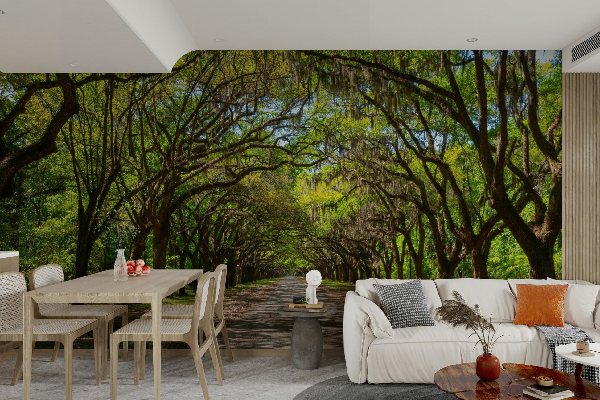 Spanish moss draped oak trees
