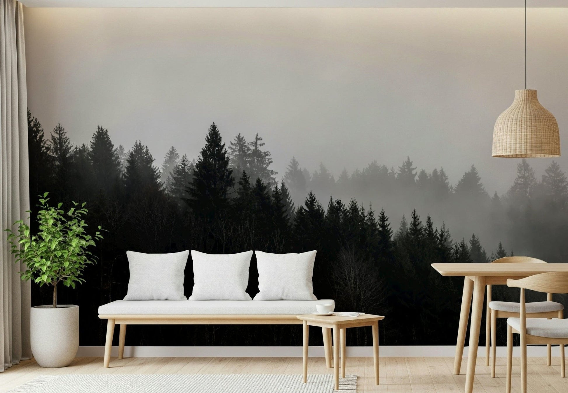 Striking, moody tree line wallpaper for the evocative Canyon Woodland Haze.