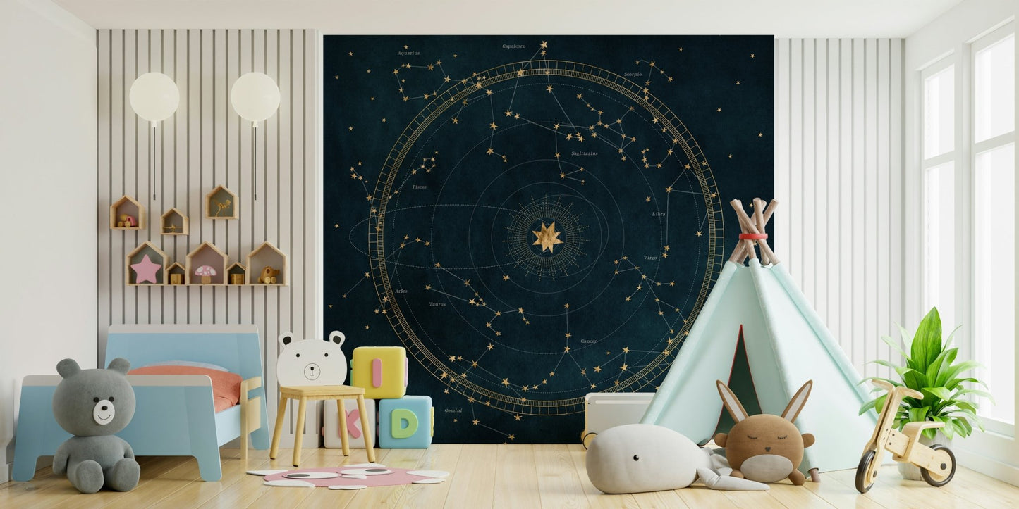 Stunning celestial wall mural featuring star constellations

