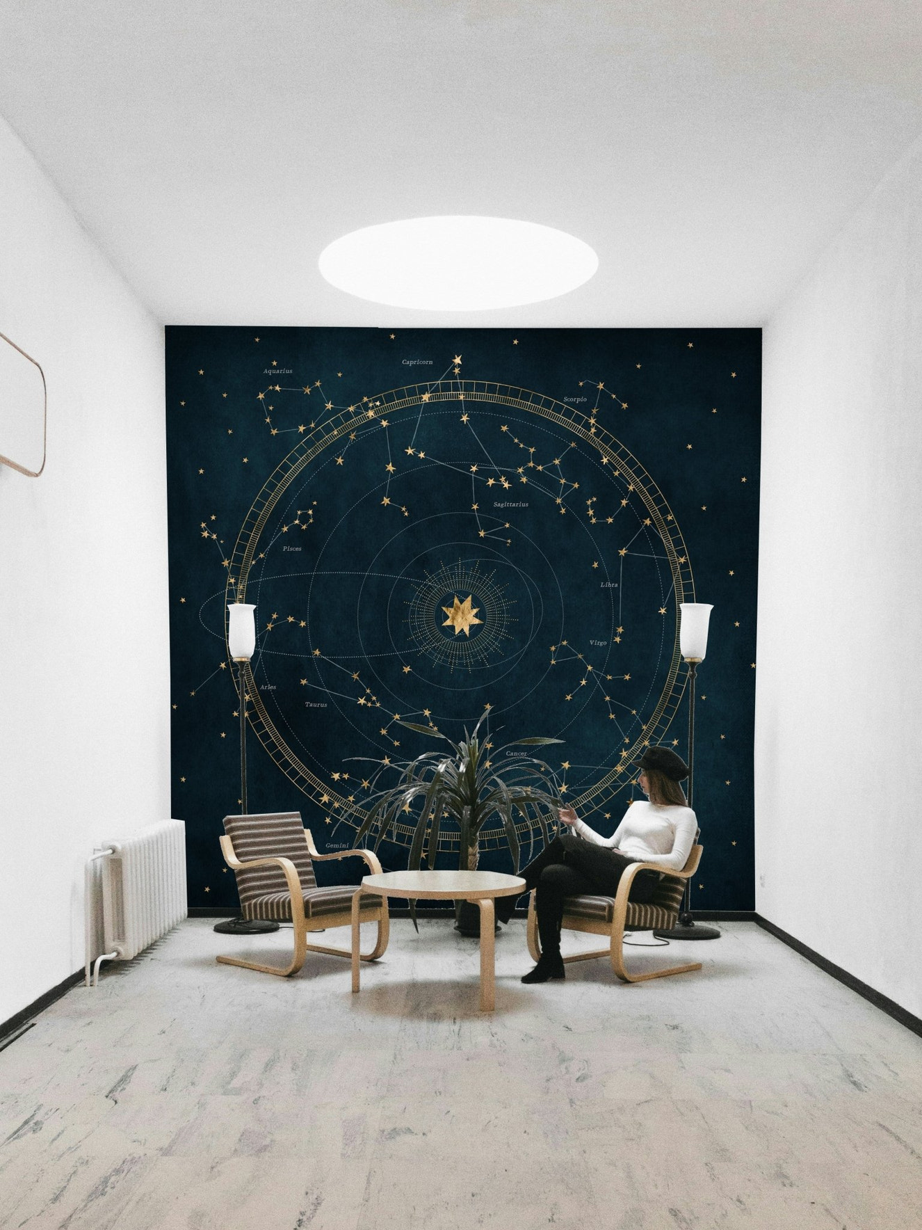 Celestial Star Chart Wall Mural for home decor

