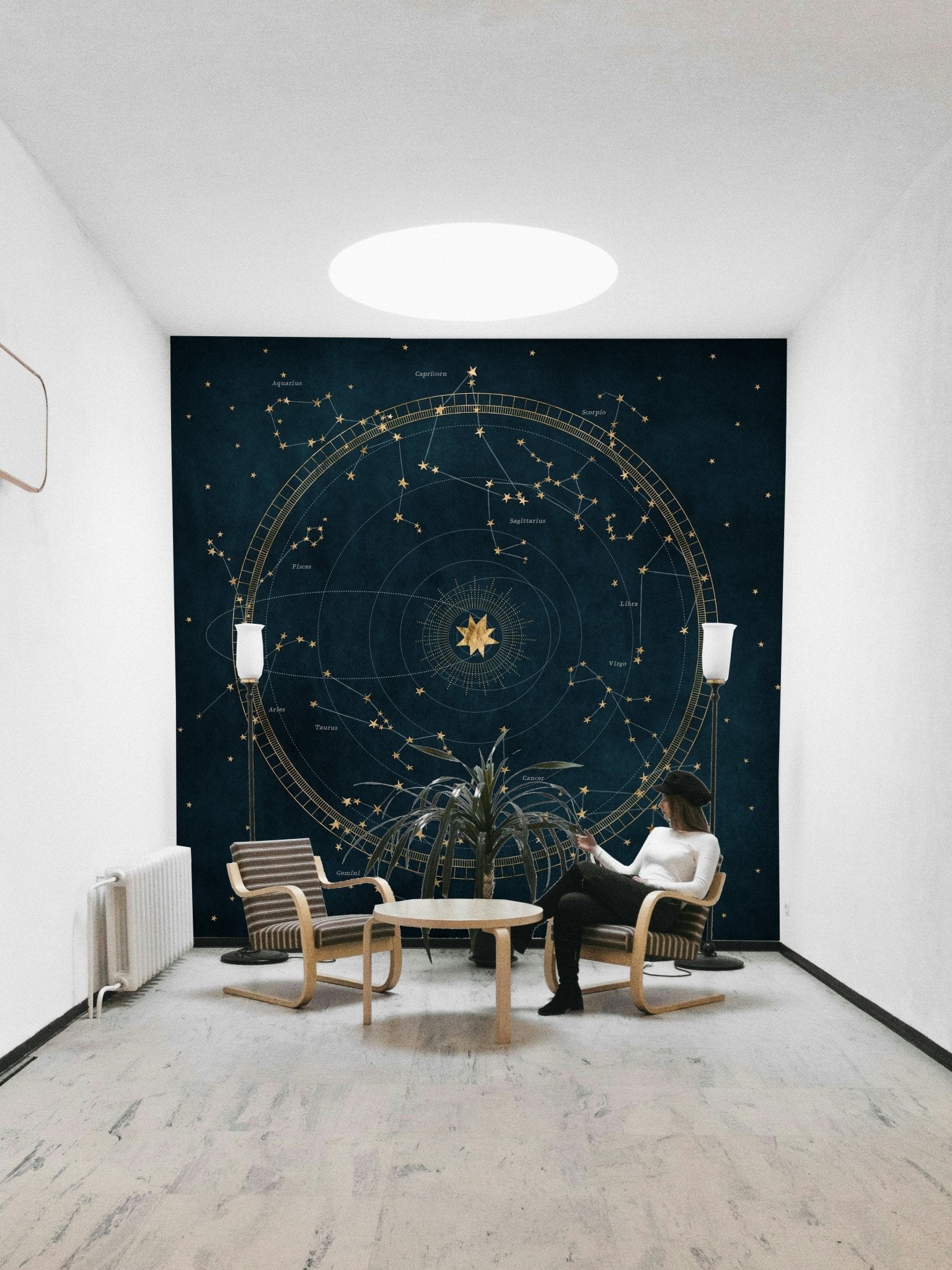 Celestial Star Chart Wall Mural for home decor

