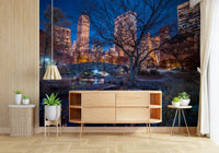Central Park at Night Wall Mural