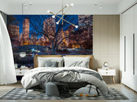 Central Park at Night Wall Mural