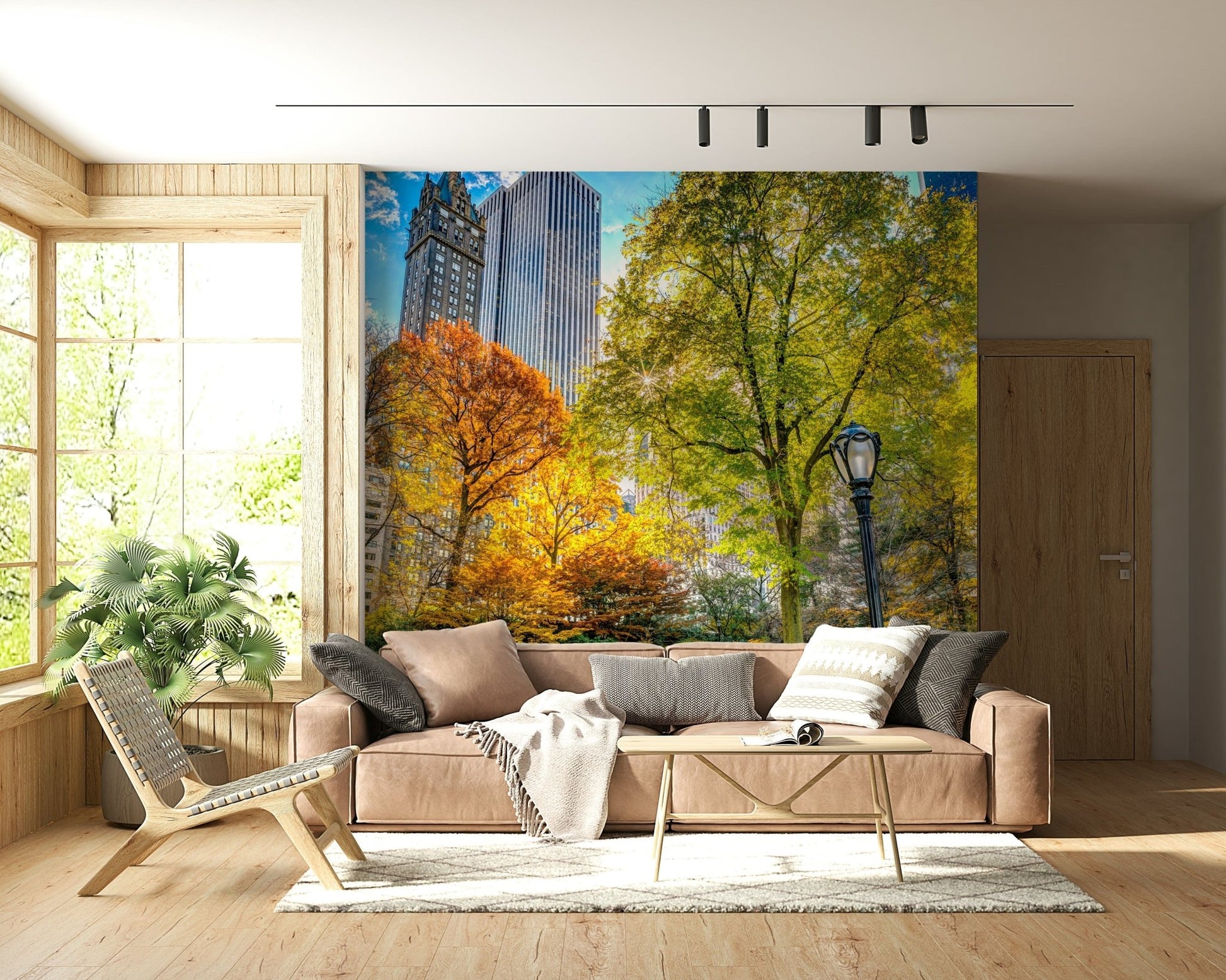 Central Park in Fall Colors wallpaper for walls featuring amber canopy trees.