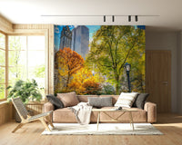 Central Park in Fall Colors wallpaper for walls featuring amber canopy trees.