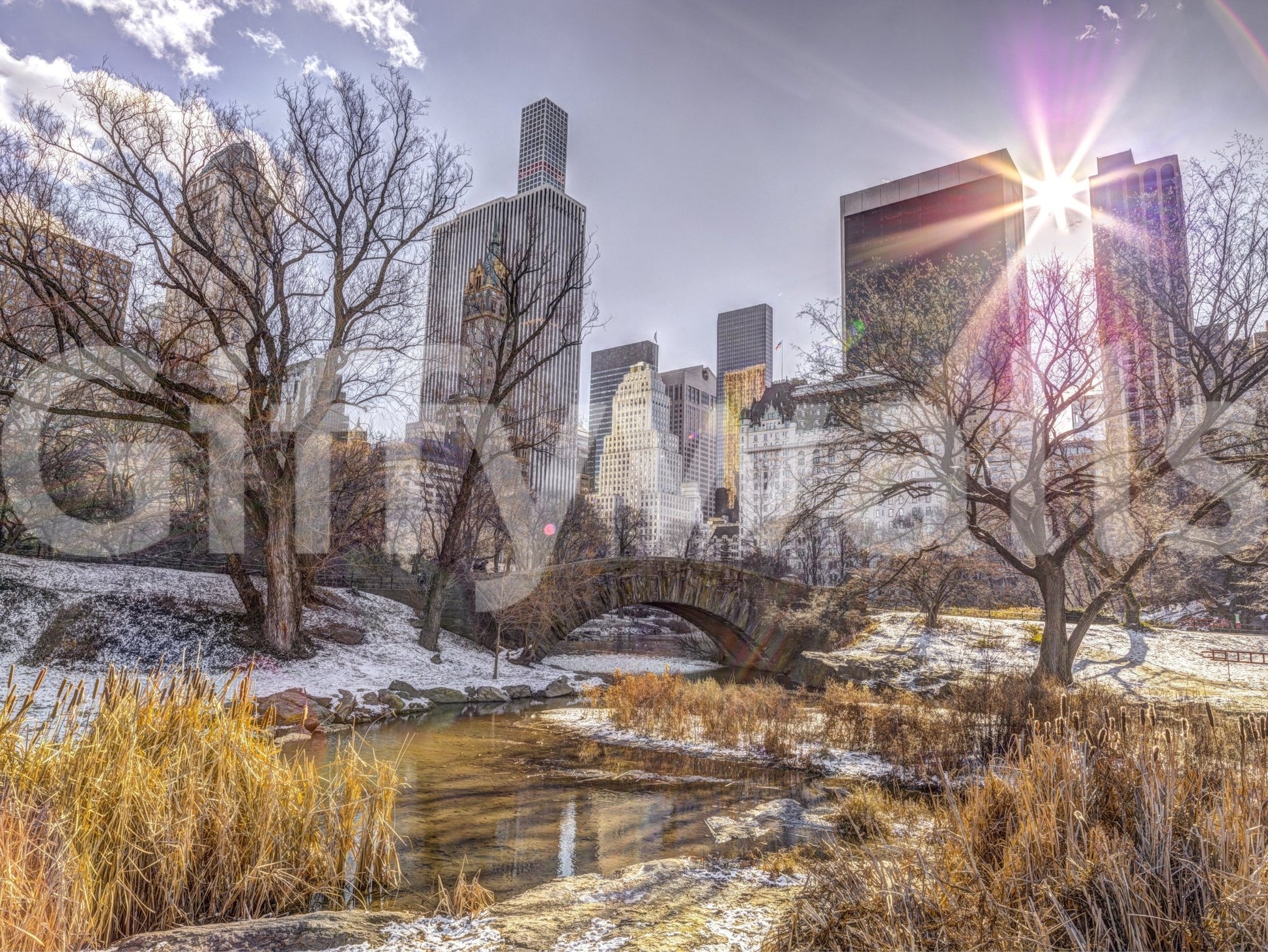 Wall decor with a calming yet urban feel.

