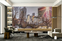 Sense of peaceful serenity in the city.

