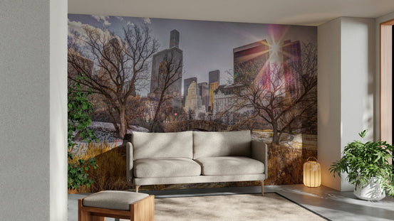 Winter scene in Central Park, New York City. GD2985

