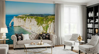 A relaxed living room paired with Chalk Cliffs Vista Wall Mural and white rock formations