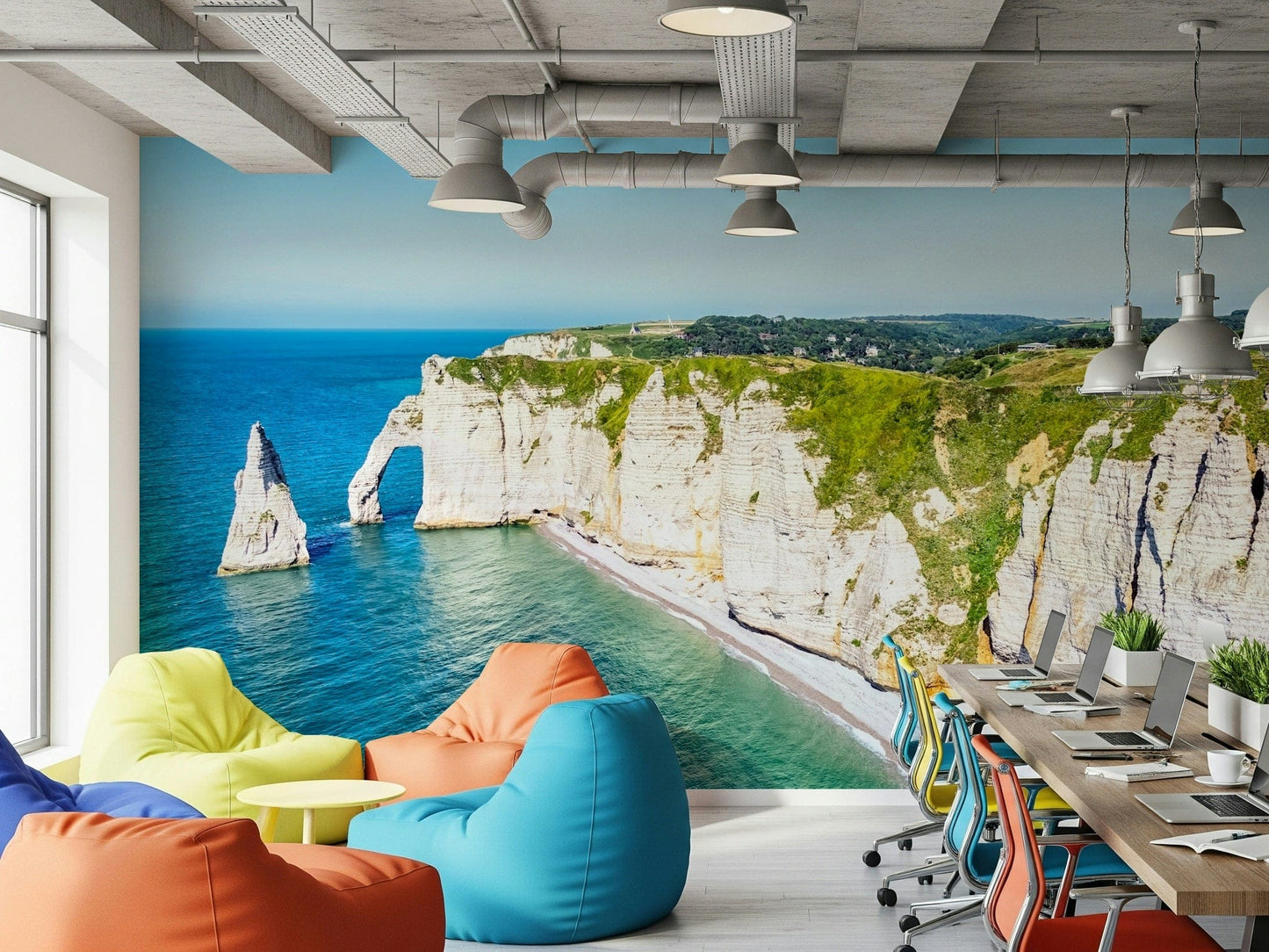 Chalk Cliffs Vista Wall Mural adds crisp seaside character to this Office
