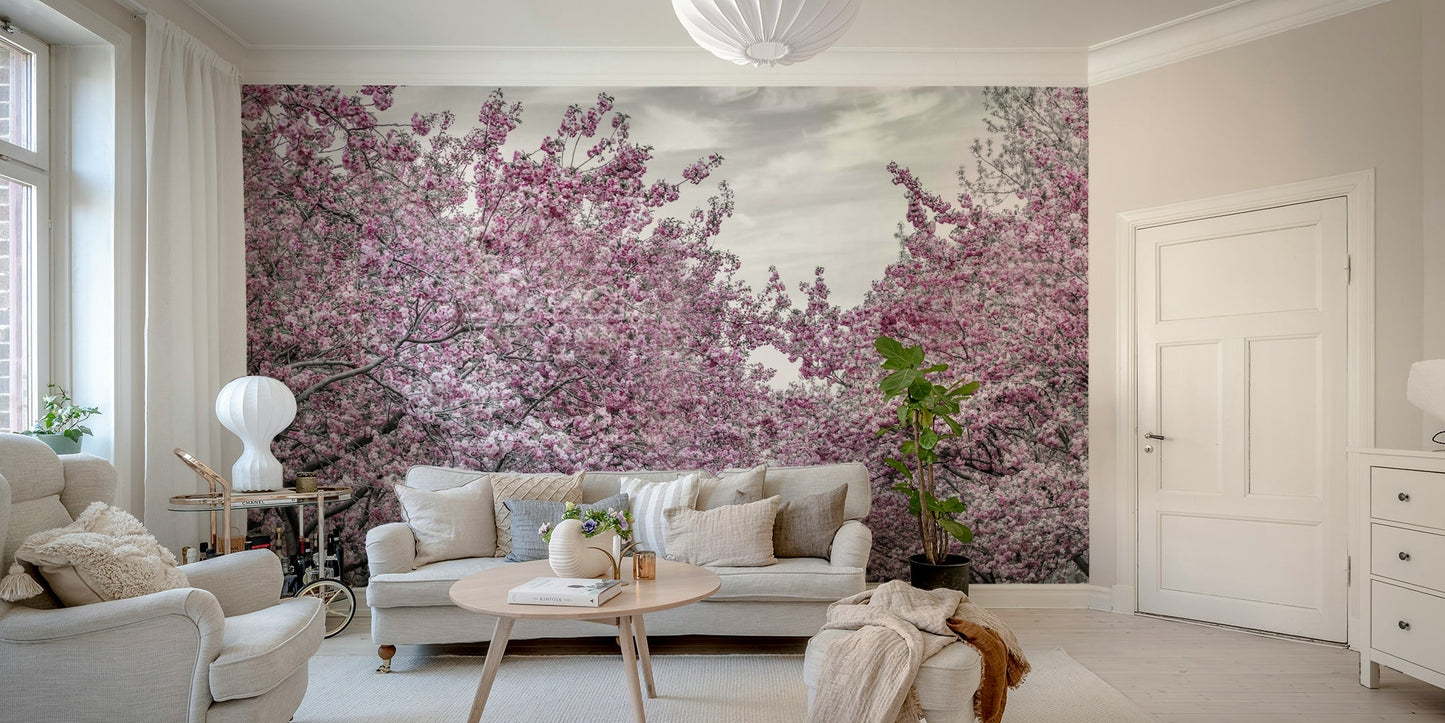 Wall mural of a romantic alley lined with cherry blossom trees.

