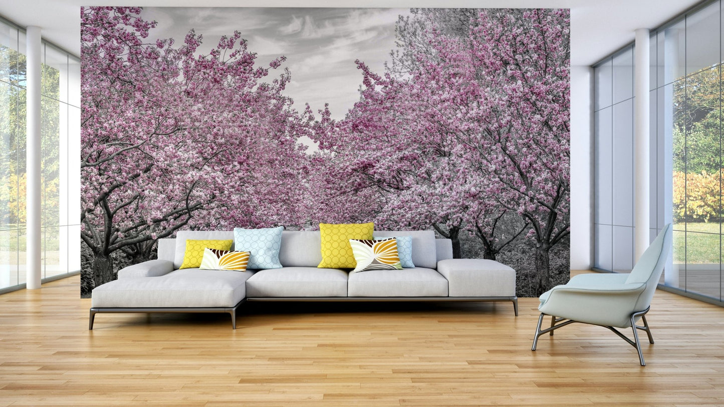 Dreamy cherry blossom alley mural for tranquil interiors.

